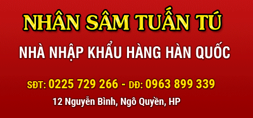 Nhân sâm Tuấn Tú