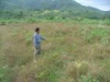Đất khai hoang có được cấp chứng nhận QSDĐ? (11-11-2010) 