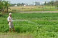 Xây nhà trên đất nông nghiệp (11-11-2010) 
