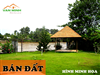 Cần chuyển nhượng lô đất khu dự án Anh Dũng 4 - Dương Kinh - HA - HP