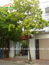 Bán nhà mặt đường số 353 Thiên Lôi, Vĩnh Niệm, Lê Chân, Hải Phòng
