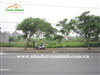 Chuyển nhượng lô đất mặt đường Km13 Phạm Văn Đồng, Dương Kinh, Hải Phòng