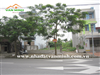 Chuyển nhượng lô đất mặt đường số 785 - 787 Phạm Văn Đồng, Hải Thành, Dương Kinh, Hải Phòng