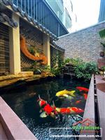 Chuyển nhượng căn liền kề Vinhomes Marina mặt Hải Âu