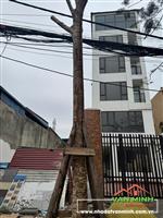 Chuyển nhượng lô đất mặt đường Nguyễn Bỉnh Khiêm, Hải An, Hải Phòng