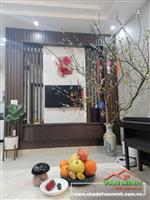 Bán nhà tại Thiên Lôi, Lê Chân Hải Phòng 