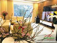 - Nhà 6 tầng thang máy Đường Nguyễn Cộng Hòa. 