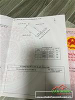 Chuyển nhượng 3 lô đất (lô góc) tại TDP Đồng Tử 1, Phù Liễn, Kiến An, Hải Phòng