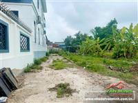 Chuyển nhượng lô đất thôn Cốc Liễn, xã Minh Tân, Kiến Thụy, Hải Phòng 
