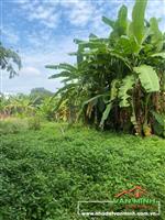 KẸT TIỀN GIA ĐÌNH CẦN BÁN TRƯỚC TẾT KHU ĐẤT HIẾM GIÁ TỐT TẠI DĨ AN BÌNH DƯƠNG.