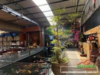 Bán siêu phẩm nhà vườn 270m2 ngay Thiên Lôi - Aeon, Lê Chân, Hp