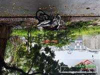 Bán đất phân lô Tăng Thiết Giáp Lê Chân Hải phòng 