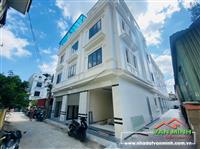 Bán nhà ngõ 29 Nam Phong (ngay cạnh đường Bùi Viện), Hải An, Hải Phòng