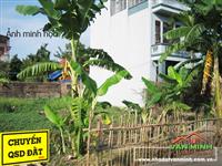 Chuyển nhượng lô đất xã Lâm Động, Thủy Nguyên, Hải Phòng