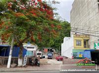 Chuyển nhượng lô đất mặt chính Hồ Tùng Dinh, trung tâm đảo Ngọc Cát Bà, Cát Bà, Hải Phòng
