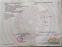 Chuyển nhượng lô đất tại Đoàn Dũng, Thái Sơn, An Lão, Hải Phòng