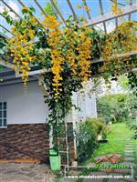Cho thuê nhà Nguyễn Văn Linh, Lê Chân, Hải Phòng 