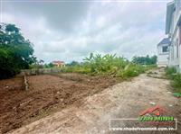 Chuyển nhượng lô đất thôn Cốc Liễn, xã Minh Tân, Kiến Thụy, Hải Phòng 