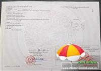 Chuyển nhượng lô đất mặt đường trục Đường Đá, Hoa Động, Thủy Nguyên, Hải Phòng