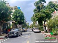 Chuyển nhượng 2 lô liền khu 5 Vĩnh Niệm, An Biên, Hải Phòng