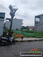 BÁN ĐẤT MẶT NGÕ TO 