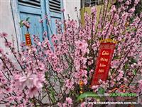 - Lô Đất 378m² mặt đường Hồ Sen  Hải Phòng.  - Mặt tiền rộng 10m. Nở hậu.  - Xây dựng cao tầng làm văn phòng ......  - Sổ đỏ.