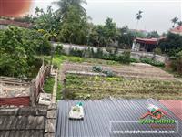 Chuyển nhượng lô đất thôn Đức Phong, Đại Đồng, Kiến Thụy (tức Đức Phong, Xã Kiến Minh), Hải Phòng