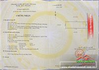 Chuyển nhượng lô đất Nguyễn Tường Loan - Lê Chân - HP