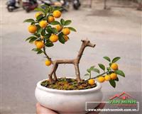 Nhà mặt đường Trần Nguyễn Hãn , Lê Chân , Hải Phòng 