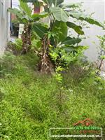 Chuyển nhượng lô đất tại Đoàn Dũng, Thái Sơn, An Lão, Hải Phòng