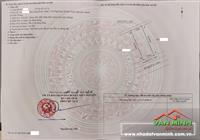 Bán lô đấu giá 146m2 ngang 7,3m tại đường Phạm Ngũ Lão, phường Bạch Đằng, đối diện Nhà máy giầy Phong Mậu, Hải Phòng
