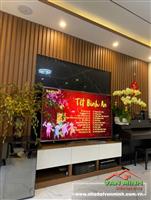 - Nhà 6 tầng thang máy Đường Nguyễn Cộng Hòa. 