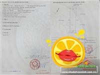 - Bán đất mặt đường Khúc Thừa Dụ - tuyến 2 Thiên Lôi - Hải Phòng. 