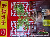 - Đất Lô 15 Lê Hồng Phong Hải Phòng. 