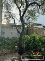 78m2 đất ngõ 284 Đồng Hoà - Ngang 4,4m - Đông nam