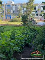 Bán lô đất khu Tăng Thiết Giáp, Thiên Lôi, Lê Chân, Hải Phòng