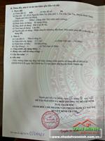 CHÍNH CHỦ CẦN BÁN NHÀ NỞ HẬU  MẶT TIỀN ĐƯỜNG NGUYỄN HỮU TRÍ, NGAY  TRUNG TÂM XÃ TÂN NHỰT MỚI