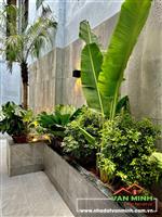 Nhà Đẹp Trần Nguyên Hãn