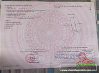 Chuyển nhượng lô đất thôn Cốc Liễn, xã Minh Tân, Kiến Thụy, Hải Phòng 