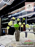 Bán nhà đẹp luxury khu phân lô Tam Kỳ - Hồ Sen, Hải Phòng