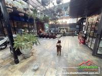 Bán nhà Vĩnh Niệm, An Biên , Hải Phòng