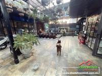 Bán biệt thự sân vườn gần Aeon Mall, Lê Chân, Hải Phòng