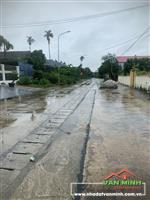 Chuyển nhượng đất khu vực Đức Phong, Đại Đồng, Kiến Thuỵ, Hải Phòng