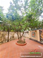 Bán Biệt thự 300m2 khu phân lô cao cấp Đằng Giang