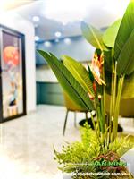 Bán nhà phố Chợ Hàng oto 7 chỗ đỗ cửa, Lê Chân, Hải Phòng