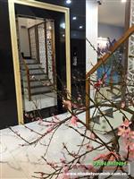 - Nhà 6 tầng thang máy Đường Nguyễn Cộng Hòa. 