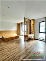 NHÀ 4 TẦNG VŨ CHÍ THẮNG SAU NHÀ MẶT NGÕ ÔTÔ. 