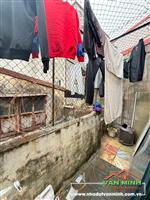 Bán nhà số 13/39/51 Dư Hàng, Lê Chân, Hải Phòng