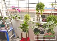 Bán nhà 4 tầng tại tại TDP Thư Trung 1, Đằng Lâm, Hải An, Hải Phòng