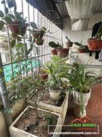 Bán nhà tại Tô Hiệu Lê Chân Hải Phòng 